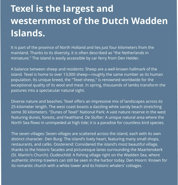 Texel is the largest and westernmost of the Dutch Wadden Islands. It is part of the province of North Holland and lies just four kilometers from the mainland. Thanks to its diversity, it is often described as "the Netherlands in miniature." The island is easily accessible by car ferry from Den Helder. A balance between sheep and residents: Sheep are a well-known hallmark of the island. Texel is home to over 13,000 sheep—roughly the same number as its human population. Its unique breed, the "Texel sheep," is renowned worldwide for the exceptional quality of its wool and meat. In spring, thousands of lambs transform the pastures into a spectacular natural sight. Diverse nature and beaches: Texel offers an impressive mix of landscapes across its 25-kilometer length. The west coast boasts a dazzling white sandy beach stretching some 30 kilometers. "Dunes of Texel" National Park: A vast nature reserve in the west featuring dunes, forests, and heathland. De Slufter: A unique natural area where the North Sea flows in unimpeded at high tide; it is a paradise for countless bird species. The seven villages: Seven villages are scattered across the island, each with its own distinct character. Den Burg: The island's lively heart, featuring many small shops, restaurants, and cafés. Oosterend: Considered the island's most beautiful village, thanks to the historic facades and picturesque lanes surrounding the Maartenskerk (St. Martin's Church). Oudeschild: A fishing village right on the Wadden Sea, where authentic shrimp trawlers can still be seen in the harbor today. Den Hoorn: Known for its romantic church with a white tower and its historic whalers' cottages.